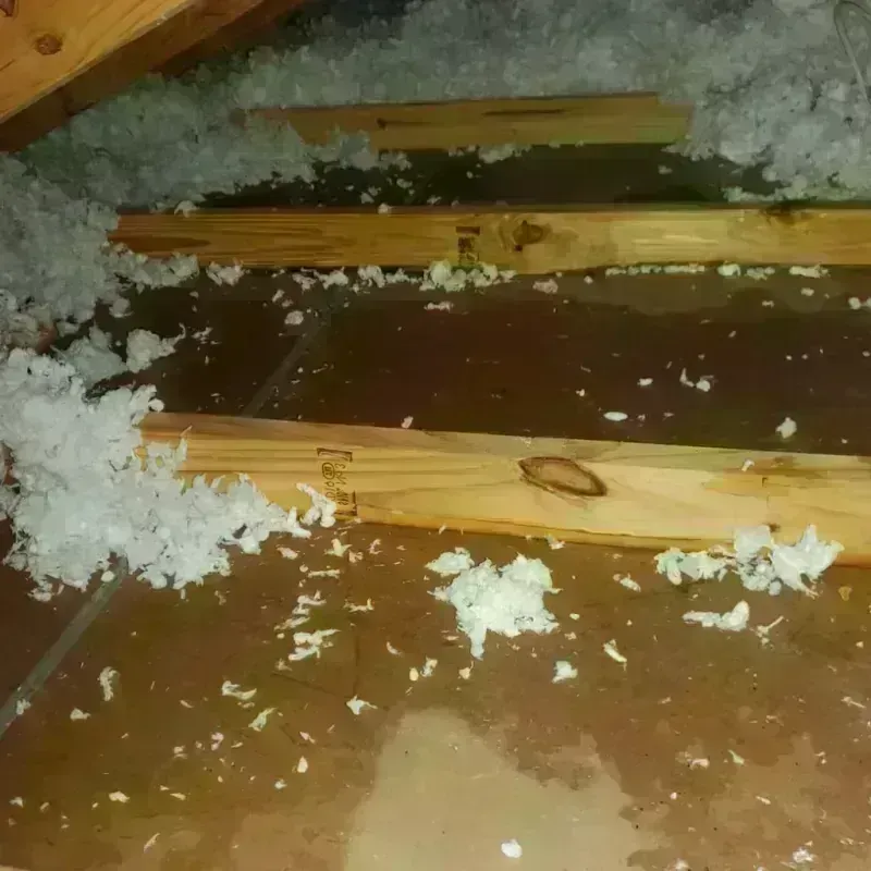 Attic Water Damage in Plaquemine, LA